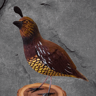 Codorniz con Pedestal