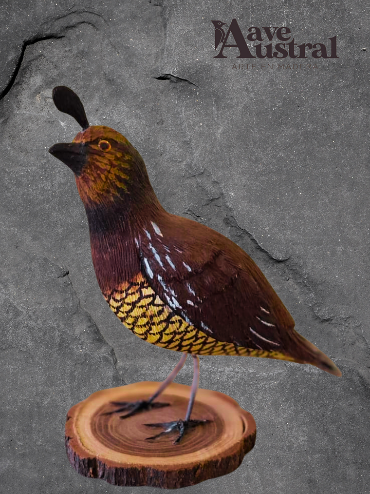 Codorniz con Pedestal 1