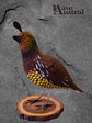 Codorniz con Pedestal - Miniatura 3