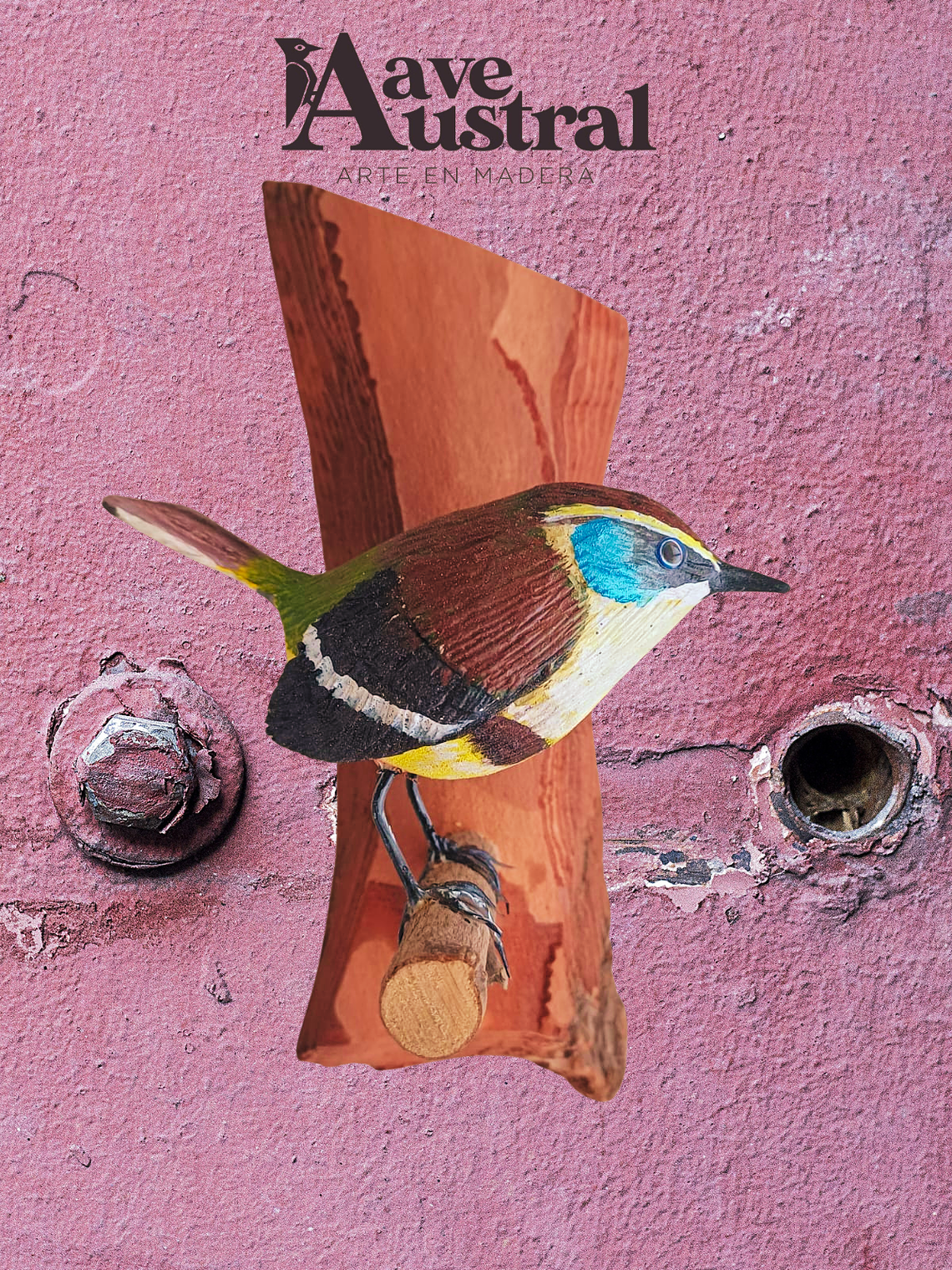 Ave Siete Colores con Colgador de Madera 1