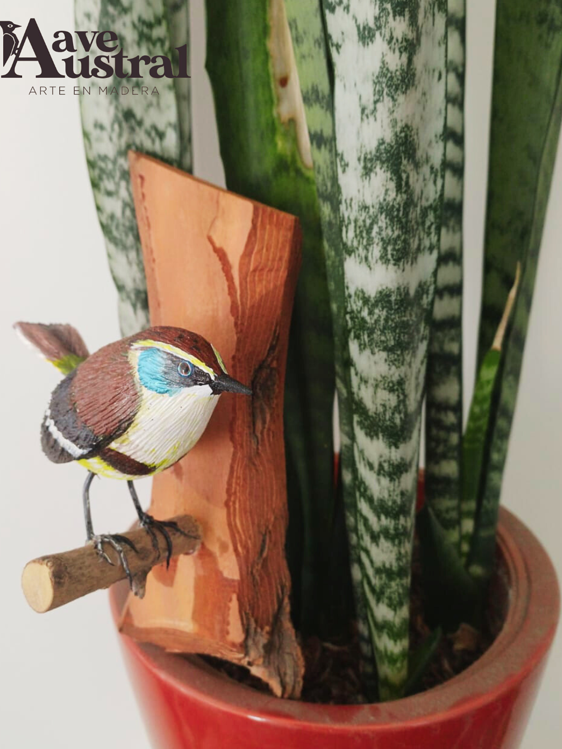 Ave Siete Colores con Colgador de Madera 2