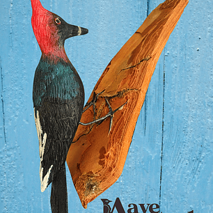 Carpintero Cabeza Roja con Colgador de Madera