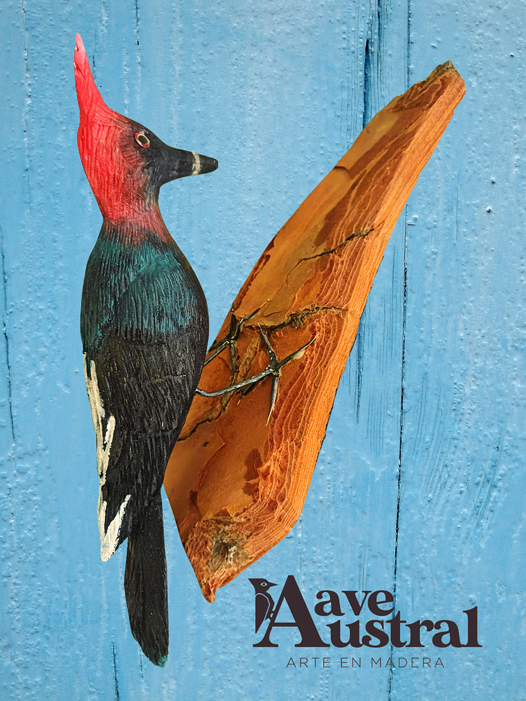 Carpintero Cabeza Roja con Colgador de Madera 1