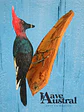 Carpintero Cabeza Roja con Colgador de Madera - Miniatura 3
