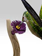 Picaflor Chileno en vuelo con Pedestal - Miniatura 3