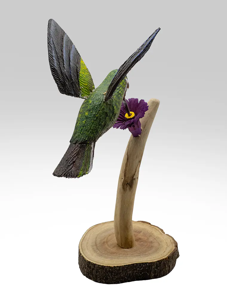 Picaflor Chileno en vuelo con Pedestal 2