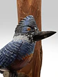 Martín Pescador con Colgador de madera - Miniatura 3