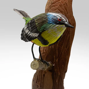 Ave Siete Colores con Colgador de Madera