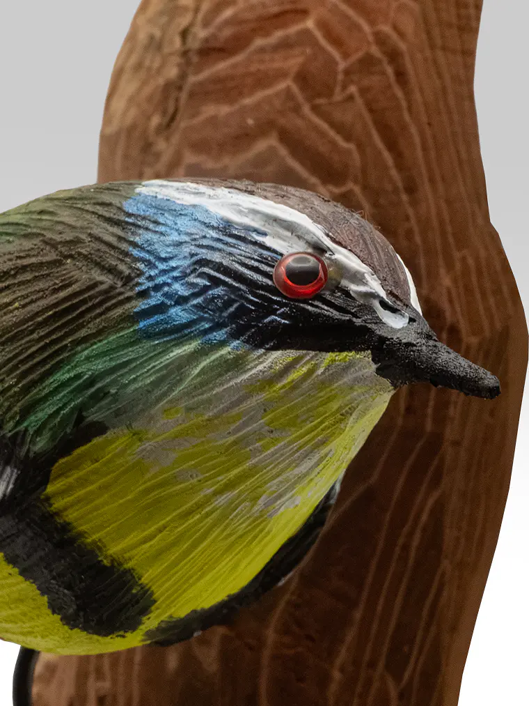 Ave Siete Colores con Colgador de Madera 2