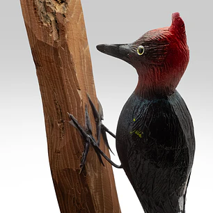 Carpintero Cabeza Roja con Colgador de Madera