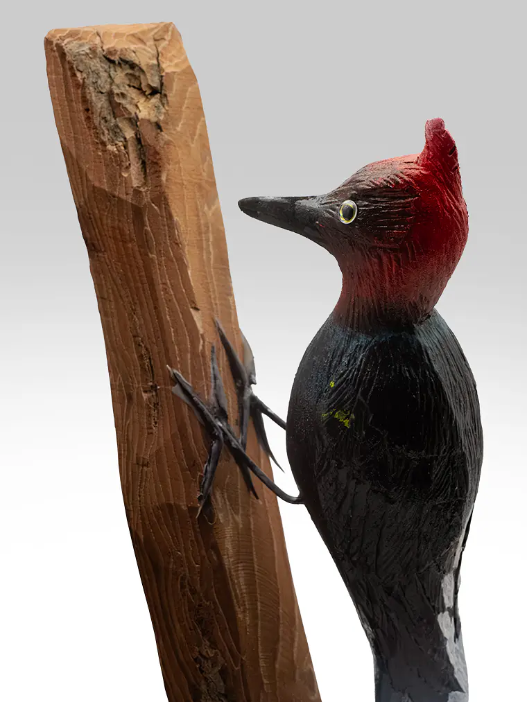 Carpintero Cabeza Roja con Colgador de Madera 1