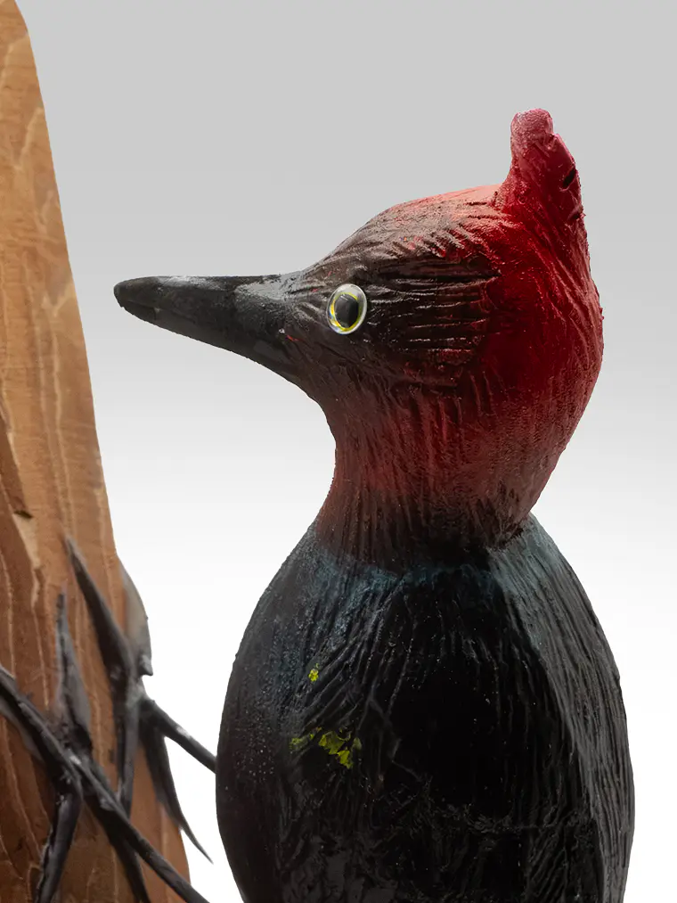 Carpintero Cabeza Roja con Colgador de Madera 2