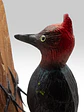 Carpintero Cabeza Roja con Colgador de Madera - Miniatura 2