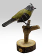 Cachudito en pedestal  - Miniatura 3