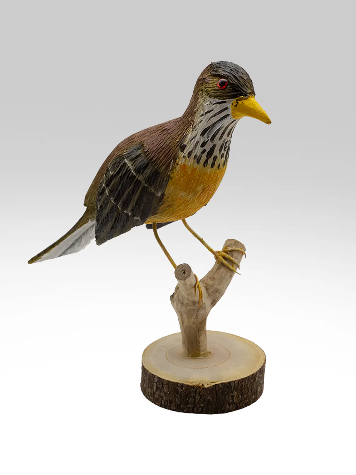 Zorzal con Pedestal 1