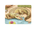 Goki - Mini Puzzle - Animais Australianos - Crocodilo