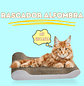 Rascador alfombra - Miniatura 1