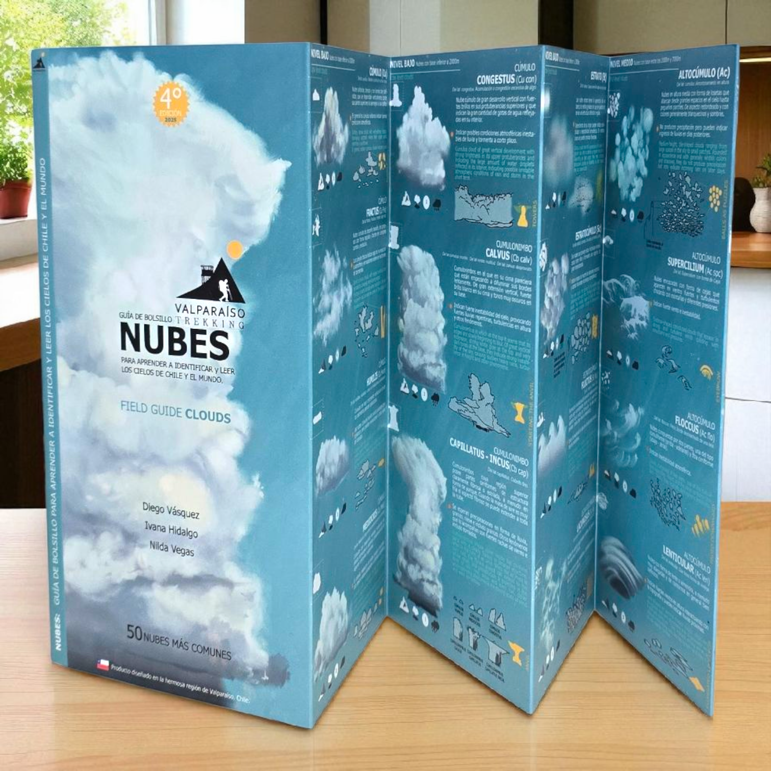 Guía Nubes - Guía para Identificación
