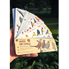 Pantonera de aves 3° edición (300 aves) 2