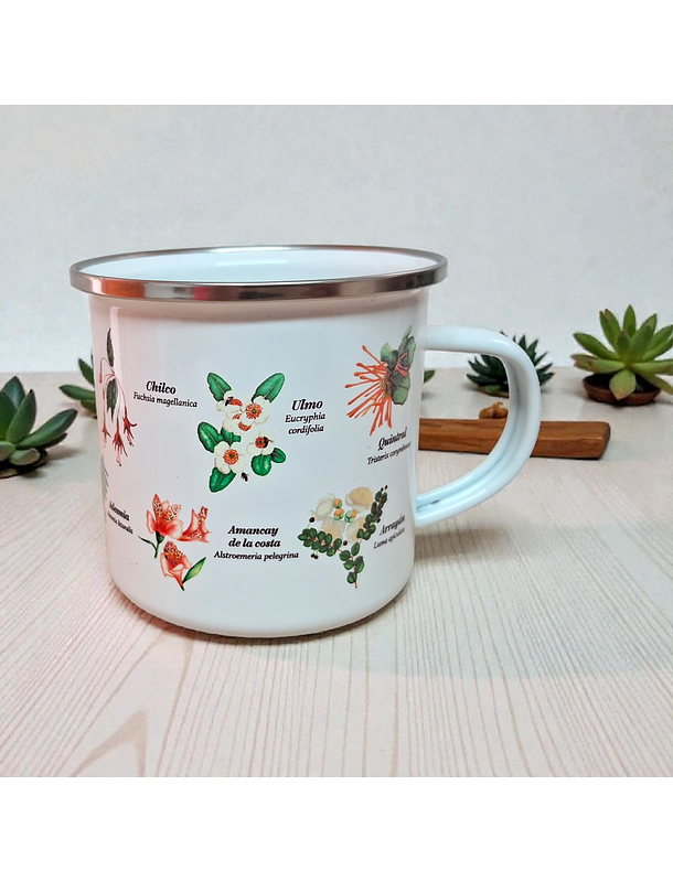 Tazón Enlozado 300 CC Botanica Chilena  1