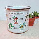 Tazón Enlozado 300 CC Botanica Chilena  2