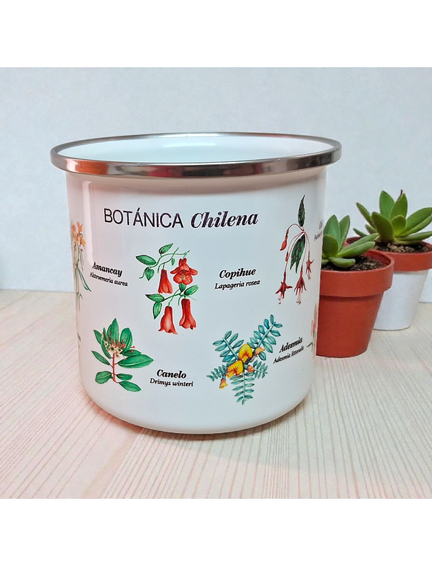 Tazón Enlozado 300 CC Botanica Chilena  2