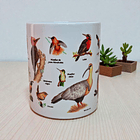 Tazón Ceramico 350 CC Aves de Chile  3