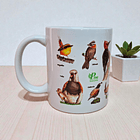 Tazón Ceramico 350 CC Aves de Chile  2