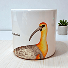 Taza Ceramica 160 CC Bandurria  3