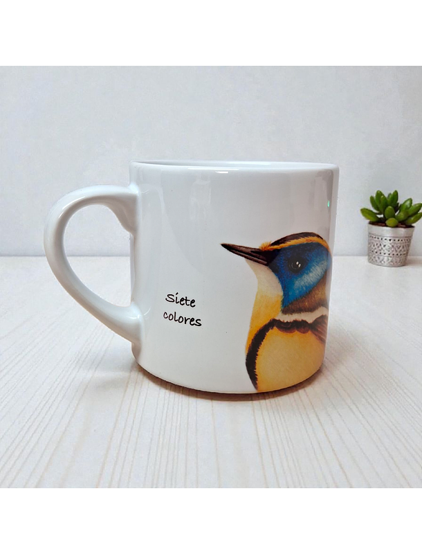 Taza Ceramica 160 CC Siete colores  2