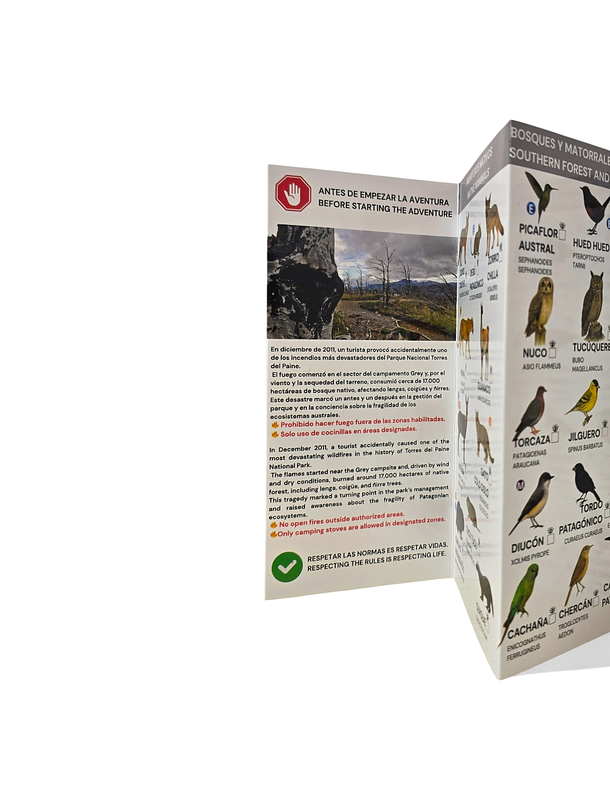 Guia de campo Torres del paine - Fauna y Flora 2