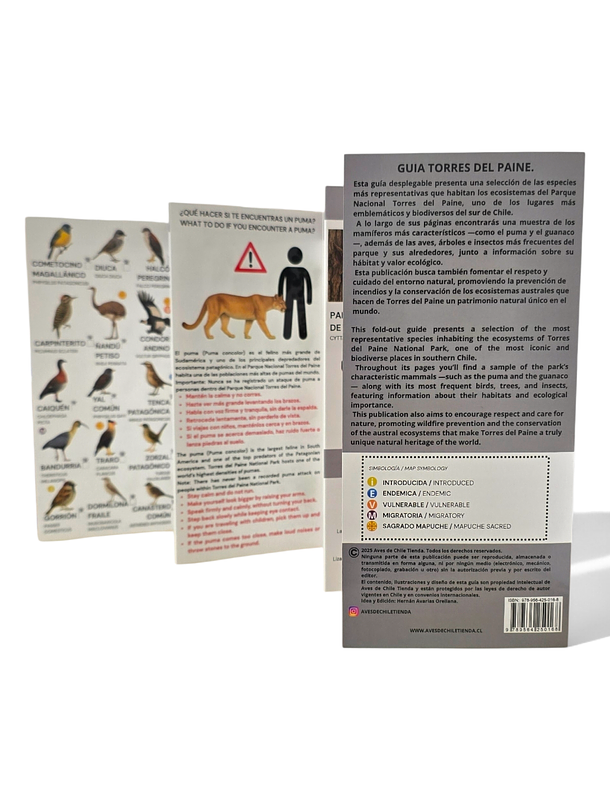 Guia de campo Torres del paine - Fauna y Flora 3
