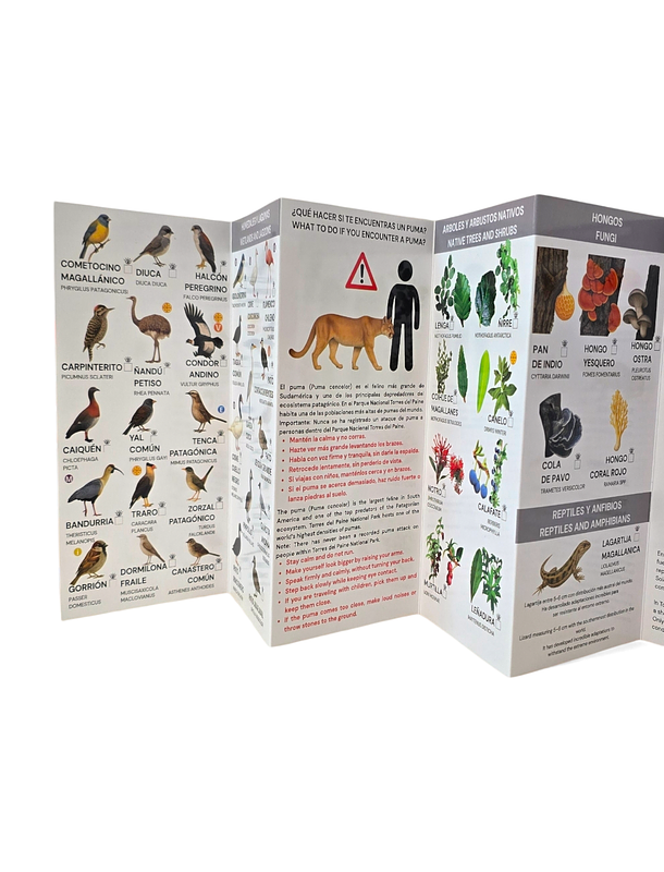 Guia de campo Torres del paine - Fauna y Flora 4