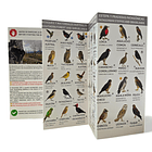 Guia de campo Torres del paine - Fauna y Flora 5