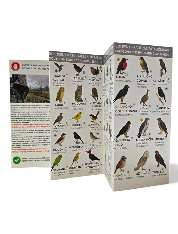 Guia de campo Torres del paine - Fauna y Flora 5