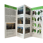 Guia Aves y Bosques de Santiago - Fauna y Flora 2