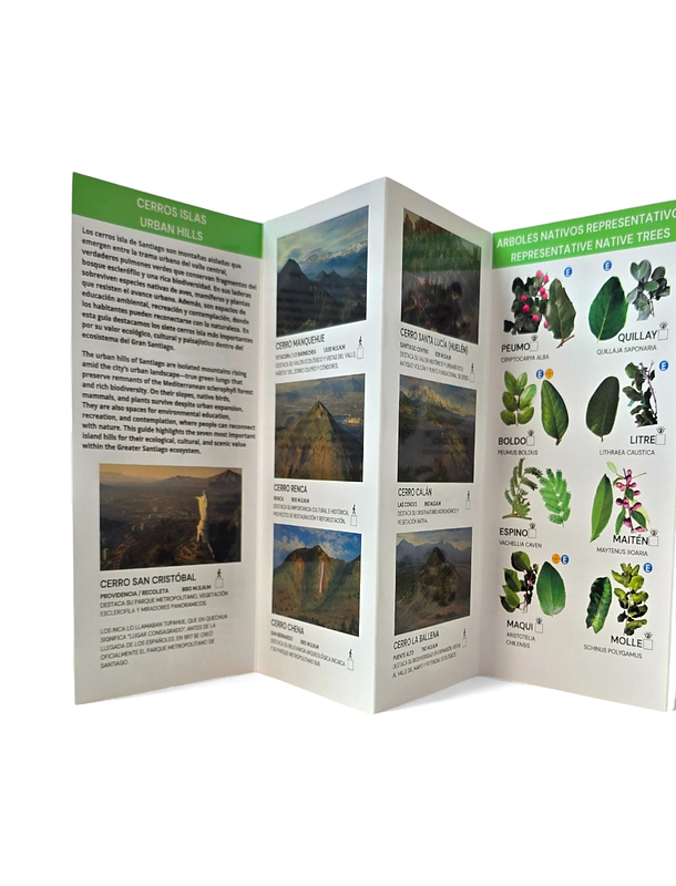 Guia Aves y Bosques de Santiago - Fauna y Flora 2