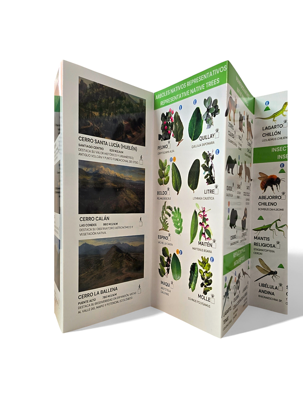 Guia Aves y Bosques de Santiago - Fauna y Flora 3