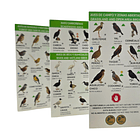 Guia Aves y Bosques de Santiago - Fauna y Flora 4