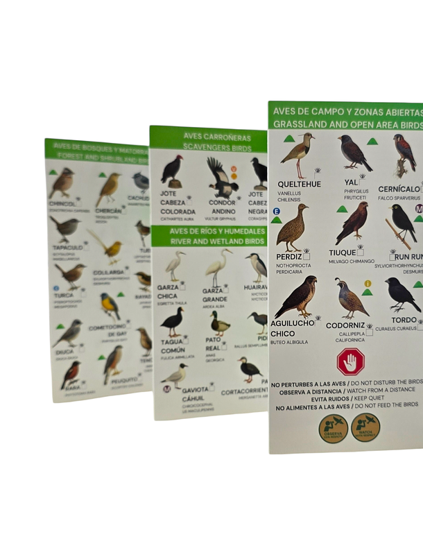 Guia Aves y Bosques de Santiago - Fauna y Flora 4