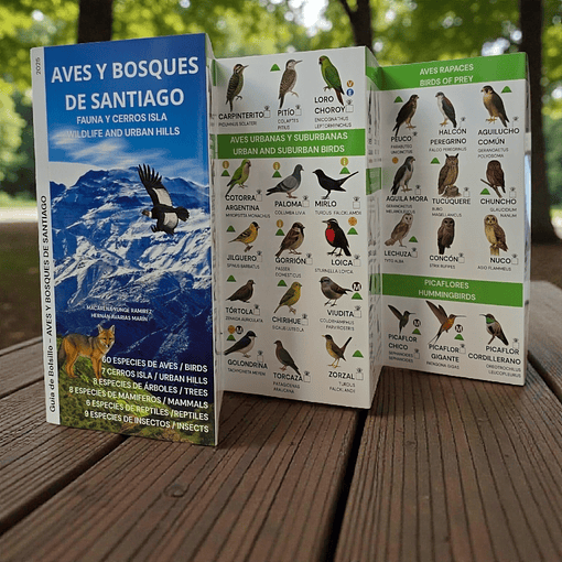 Guia Aves y Bosques de Santiago - Fauna y Flora