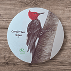 Posavasos de Madera Aves de Chile 5