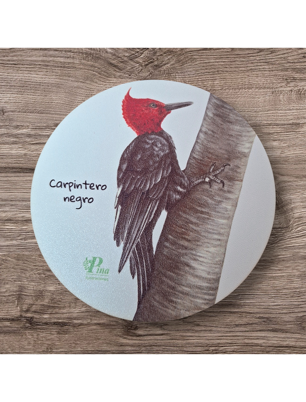 Posavasos de Madera Aves de Chile 5