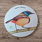 Posavasos de Madera Aves de Chile 6