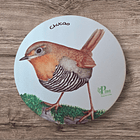 Posavasos de Madera Aves de Chile 7