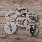 Posavasos de Madera Aves de Chile 1