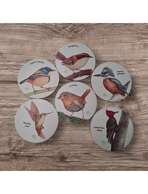 Posavasos de Madera Aves de Chile 1