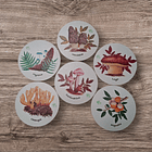 Posavasos de Madera Hongos de Chile  1