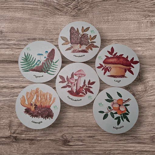 Posavasos de Madera Hongos de Chile 