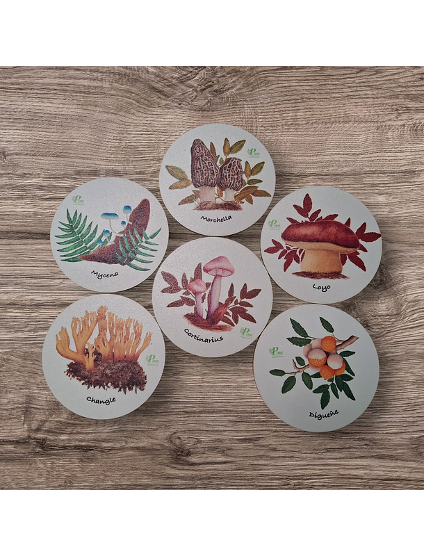 Posavasos de Madera Hongos de Chile  1